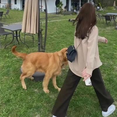 穿黄鞋的人是凶手